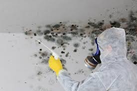 Best Industrial Mold Remediation  in Rutledge, GA